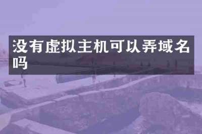 没有虚拟主机可以弄域名吗