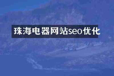 珠海电器网站seo优化