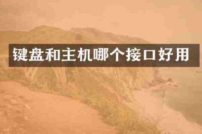 键盘和主机哪个接口好用