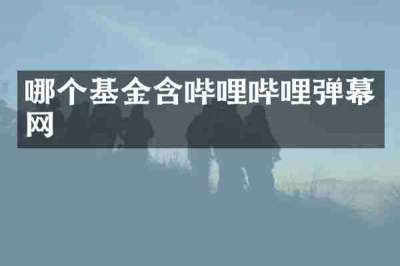 哪个基金含哔哩哔哩弹幕网