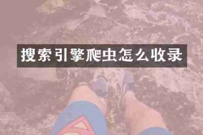 搜索引擎爬虫怎么收录