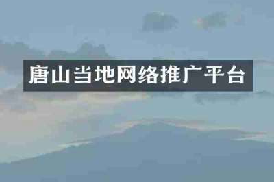 唐山当地网络推广平台