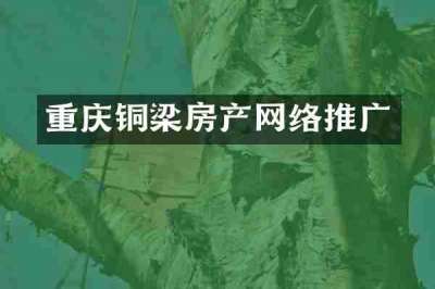 重庆铜梁房产网络推广