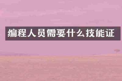 编程人员需要什么技能证