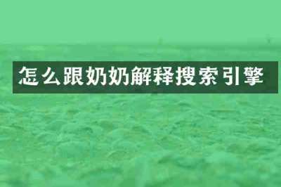 怎么跟奶奶解释搜索引擎