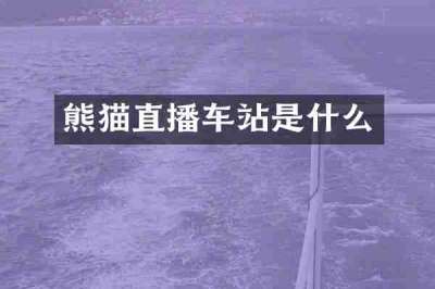 熊猫直播车站是什么