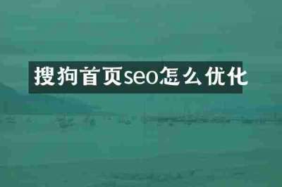 搜狗首页seo怎么优化