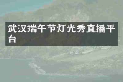 武汉端午节灯光秀直播平台
