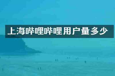 上海哔哩哔哩用户量多少