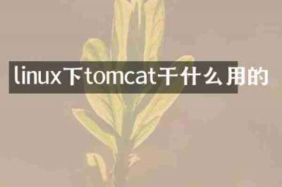 linux下tomcat干什么用的