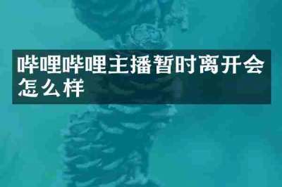 哔哩哔哩主播暂时离开会怎么样