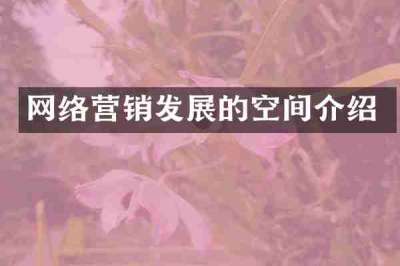 网络营销发展的空间介绍