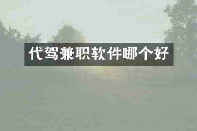 代驾兼职软件哪个好