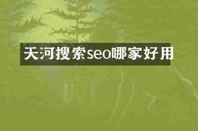 天河搜索seo哪家好用
