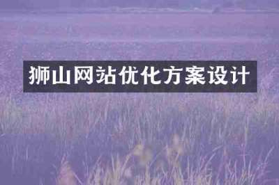 狮山网站优化方案设计