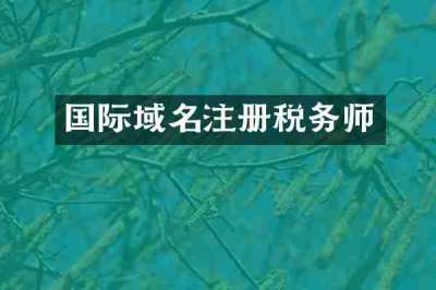 国际域名注册税务师