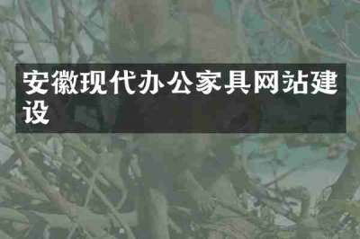 安徽现代办公家具网站建设