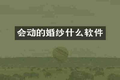 会动的婚纱什么软件