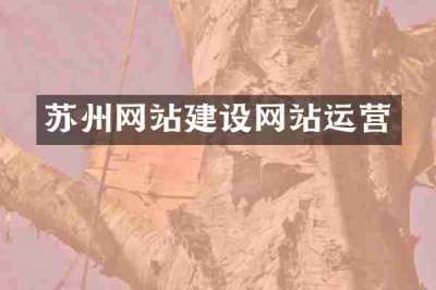 苏州网站建设网站运营