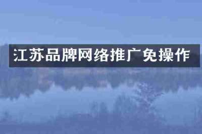 江苏品牌网络推广免操作