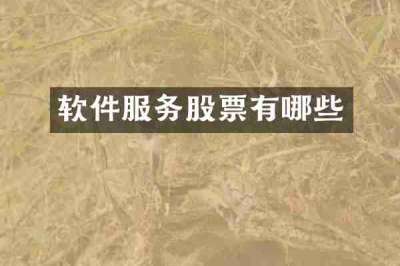 软件服务股票有哪些