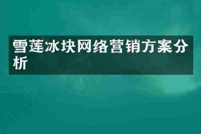 雪莲冰块网络营销方案分析