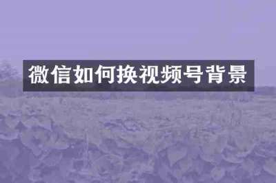 微信如何换视频号背景