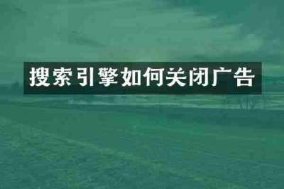 搜索引擎如何关闭广告
