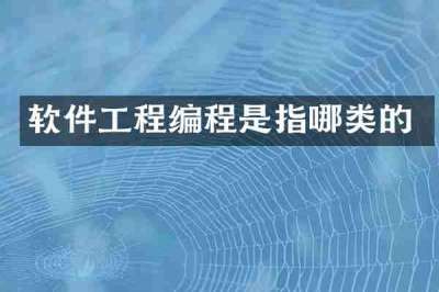软件工程编程是指哪类的