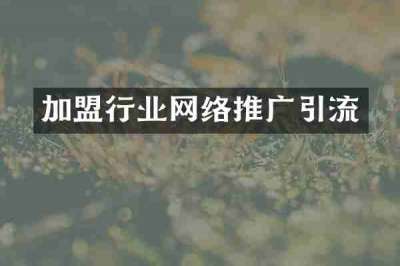加盟行业网络推广引流
