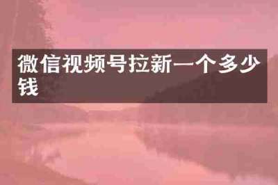 微信视频号拉新一个多少钱