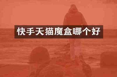 快手天猫魔盒哪个好