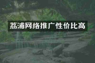 荔浦网络推广性价比高