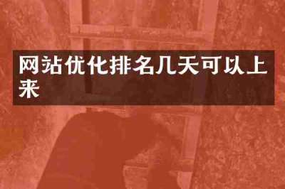 网站优化排名几天可以上来