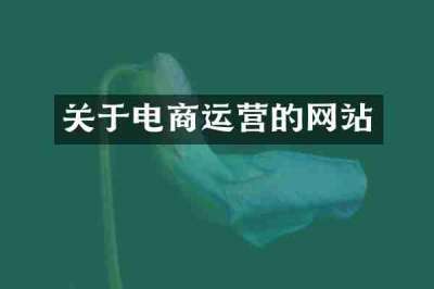 关于电商运营的网站