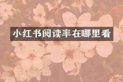 小红书阅读率在哪里看