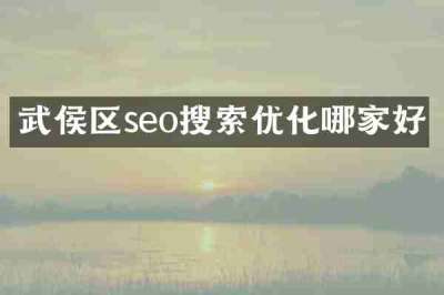 武侯区seo搜索优化哪家好