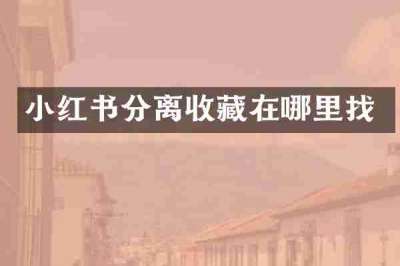 小红书分离收藏在哪里找