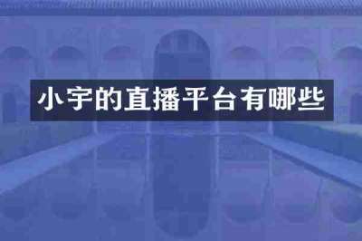 小宇的直播平台有哪些
