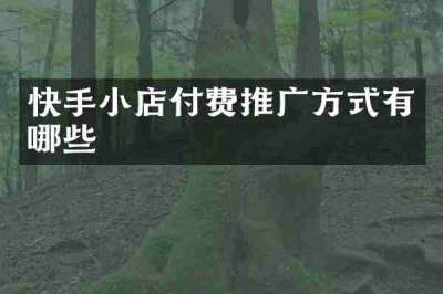 快手小店付费推广方式有哪些