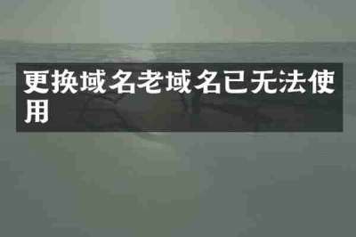 更换域名老域名已无法使用
