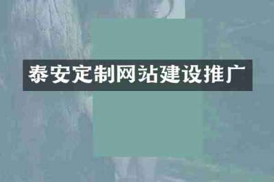 泰安定制网站建设推广