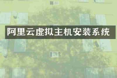 阿里云虚拟主机安装系统