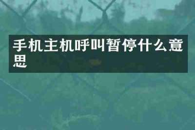 手机主机呼叫暂停什么意思