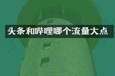 头条和哔哩哪个流量大点