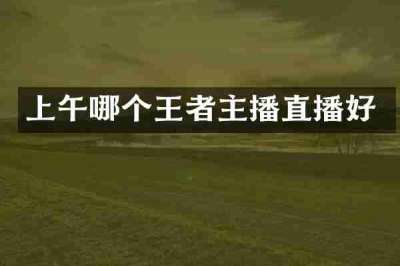 上午哪个王者主播直播好