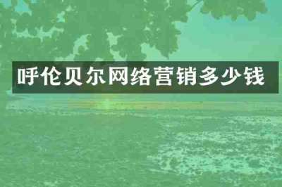 呼伦贝尔网络营销多少钱