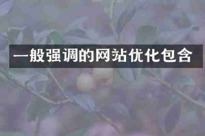 一般强调的网站优化包含