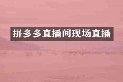 拼多多直播间现场直播
