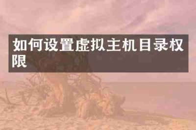 如何设置虚拟主机目录权限
